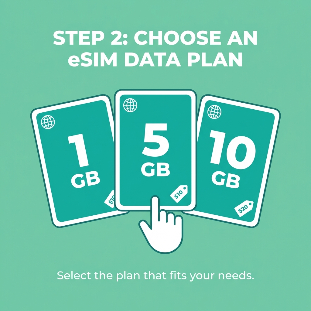 Step 2: Choose a plan